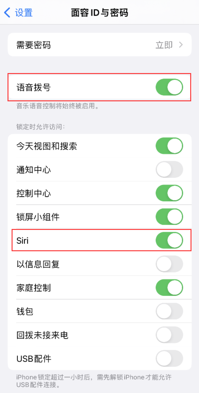 东港苹果维修网点分享不解锁 iPhone 的情况下通过 Siri 拨打电话的方法 