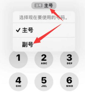 东港苹果14维修店分享iPhone 14 Pro Max使用副卡打电话的方法 