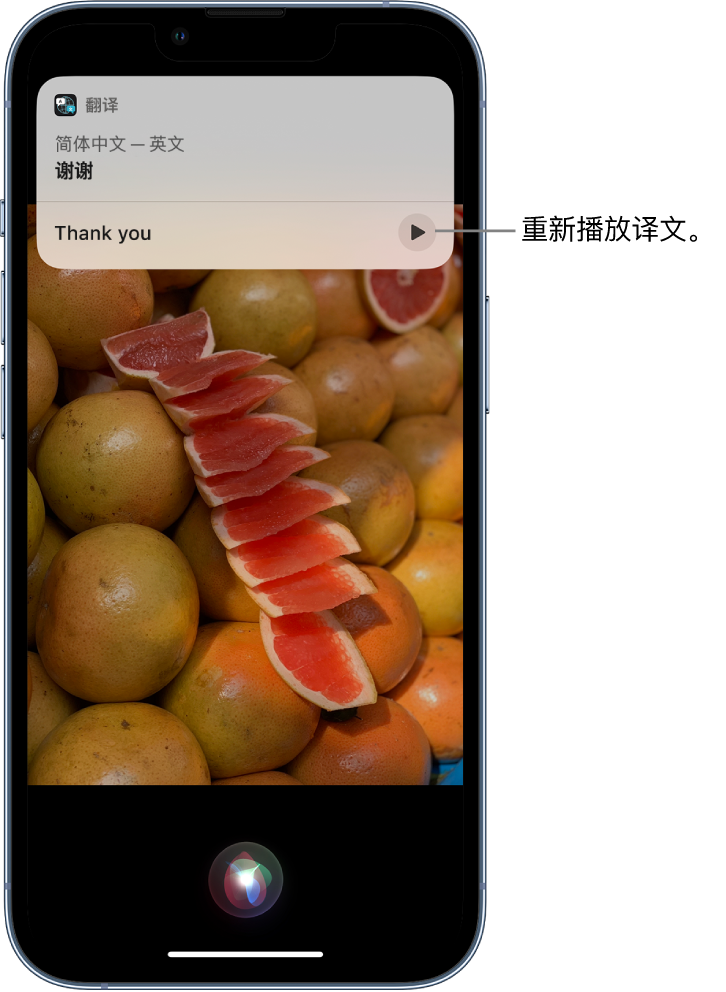 东港苹果14维修分享 iPhone 14 机型中使用 Siri：了解 Siri 能帮你做什么 