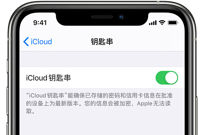 东港苹果手机维修分享在 iPhone 上开启 iCloud 钥匙串之后会储存哪些信息 