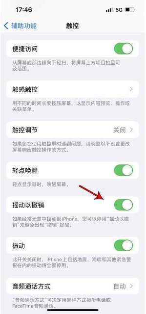 东港苹果手机维修分享iPhone手机如何设置摇一摇删除文字 