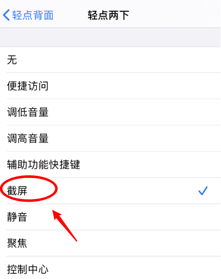 东港苹果手机维修分享iPhone12如何启用双击截屏 